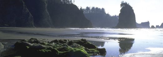 Olympic National Park and  a World Heritage Site since 1981.