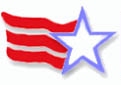ILUSA Logo with Star and  stripes
