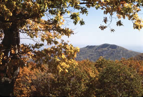 Fall view of Old Rag Mountain