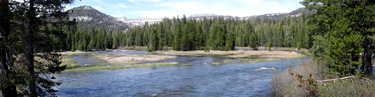 Middle Fork of the San Joaquin River flooding Soda Springs Meadow in June 2006