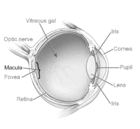 Eye diagram - Click to enlarge in new window.