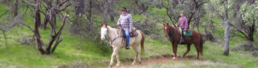 Equestrians on Mule Mountain Pass Trail