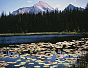 Numa Bog and Rainbow Peak