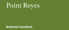 Point Reyes National Seashore