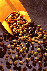 Photo: Soybeans. Link to photo information