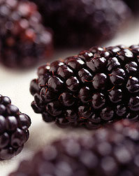 Photo: Black Butte blackberry. Link to photo information