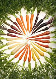 Carrots of different colors arranged in a circle.