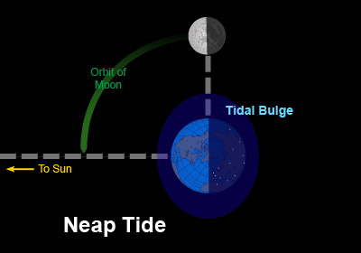 Earth-Moon-Sun configuration for Neap tide