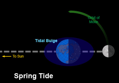 Earth-Moon-Sun configuration for Spring tide
