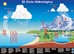 Hydrologic Cycle poster