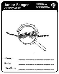 Muir Woods Jr. Ranger Activity Booklet