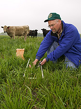 In an experimental pasture at the Grazinglands Research Laboratory near El Reno, Oklahoma, ecologist Brian Northup collects samples to describe availability and quality of forage. 