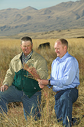 Utah rancher Bob Adams (left) and ARS scientist Blair Waldron discuss the nutritional quality of forage kochia. 