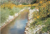 photo: Acequia at Velarde