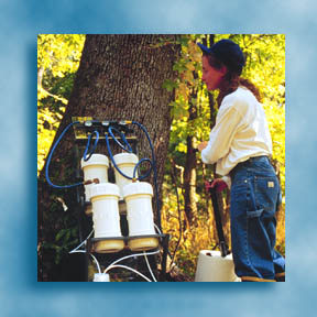 Aquatic ecologist preparing sediment samples, see <a href="http://www.cerc.usgs.gov">Columbia Environmental Research Center</a> information.
