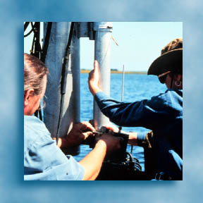 Marine scientists installing a data logger in a tidal marsh, see <a href="http://marine.usgs.gov/">Coastal and Marine Geology Program</a>
