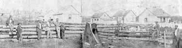 Belle Vue Sheep Farm in September 1859