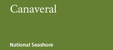 Canaveral National Seashore