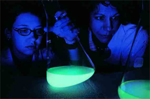 Bonnie Bassler (right) uses glow-in-the dark bacteria to study the genetics of biofilms.