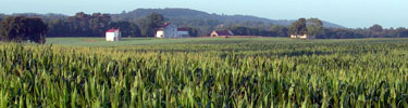Best Farm, Monocacy National Battlefield (facing south)