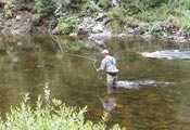 photo: Fly Fishing - Taylor River