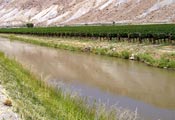 photo: Canal Next to Grape Vineyard - Western CO