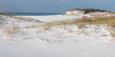 The long roots of the sea oats help hold the dunes together.