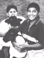 Youth farm workers with sheep.