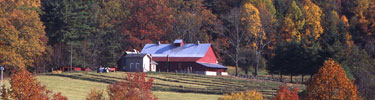 Connemara Farms as seen from pasture in late fall