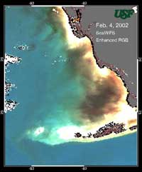SeaWiFS image of blackwater in 2002