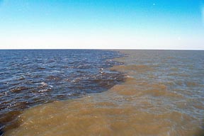 Sediment filled water meets the blue ocean in this photo at the outflow of the Neuse River after Hurricane Floyd