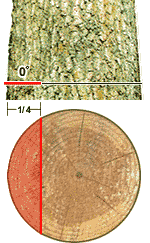 Diagram of cross-section