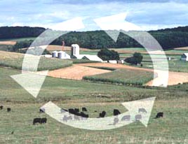 Photo of farm field