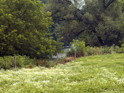 Photo of Tioughnioga River