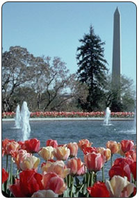 Washington Monument Park. [NPS Photo]
