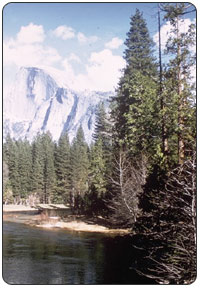 Yosemite National Park. [NPS Photo]