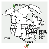 Distribution of Pueraria montana (Lour.) Merr. var. montana. . 