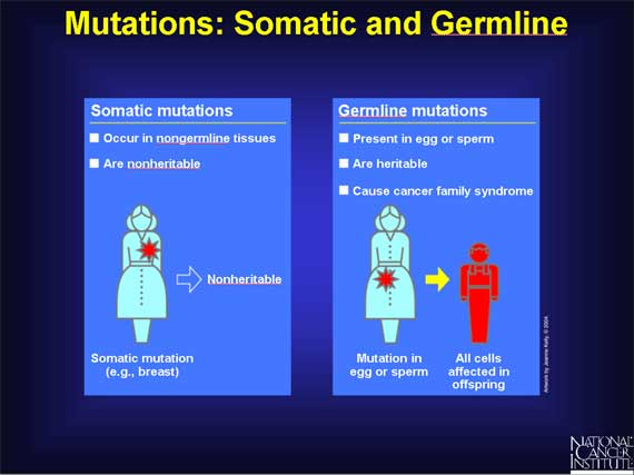 Mutations: Somatic and Germline