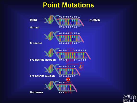 Point Mutations