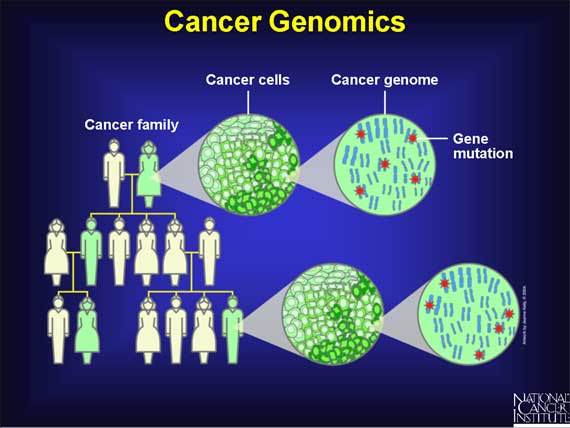 Cancer Genomics