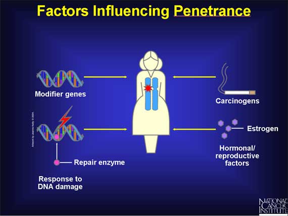 Factors Influencing Penetrance