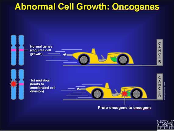 Abnormal Cell Growth: Oncogenes