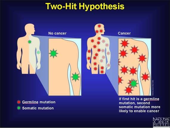 Two-Hit Hypothesis