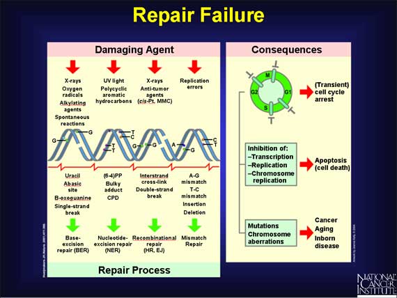 Repair Failure