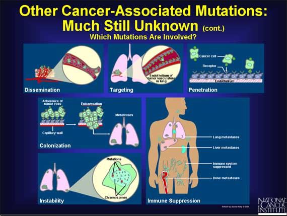 Other Cancer-Associated Mutations: Much Still Unknown (cont.)