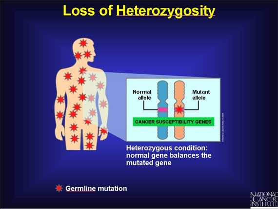 Loss of Heterozygosity