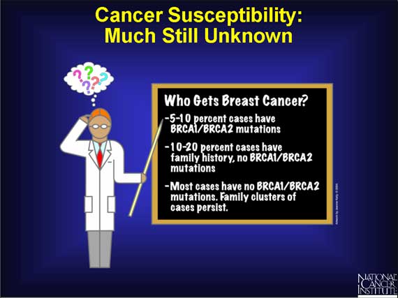 Cancer Susceptibility: Much Still Unknown
