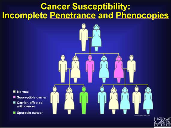 Cancer Susceptibility: Incomplete Penetrance and Phenocopies
