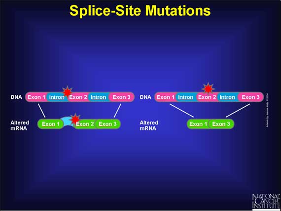 Splice-Site Mutations
