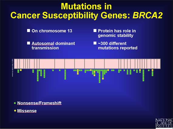 Mutations in Cancer Susceptibility Genes: <i>BRCA2</i>